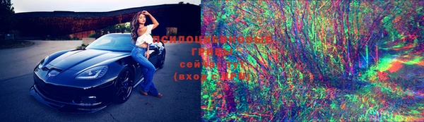 дмт Белокуриха