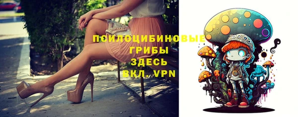 мдпв Медногорск